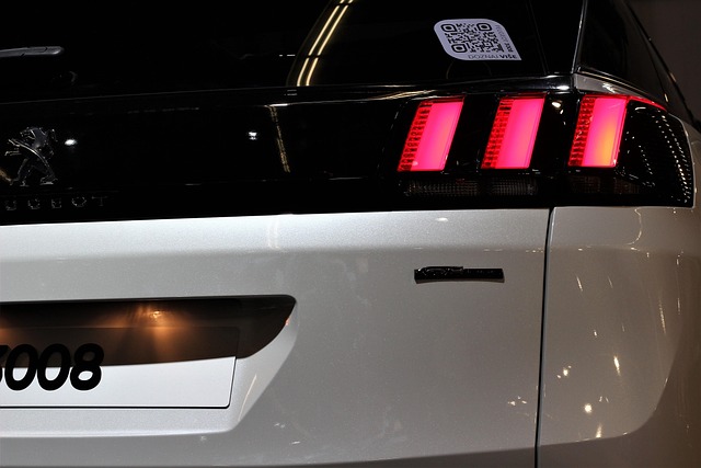 BYD Yedek Parça Arka Plakalık