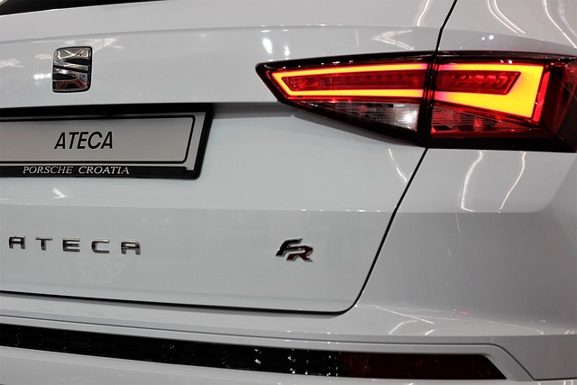 BYD Yedek Parça Sağ Kapı