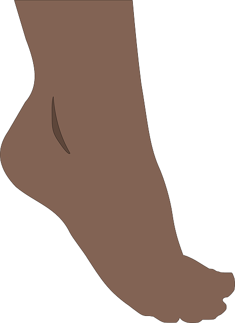 Çankaya Japon Kore Yedek Parça