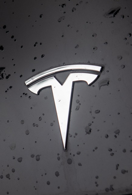 Tesla Yedek Parça Bagaj Kapağı
