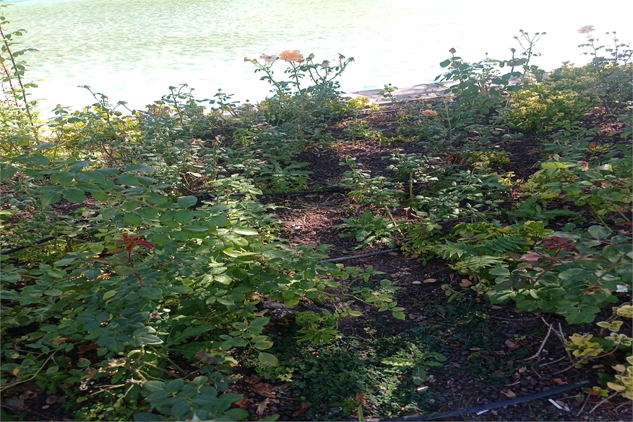 Chery Yedek Parça Sis Farı Çerçevesi,