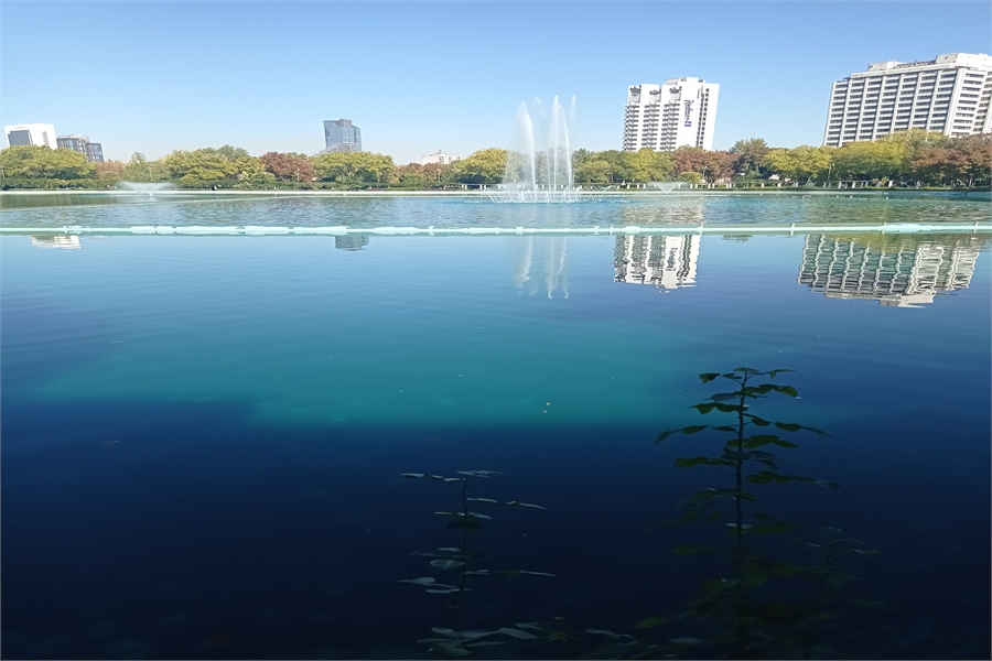 Daewoo Yedek Parça Arka Panel