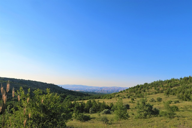 Hyundai Yedek Parça Kapı Kolu