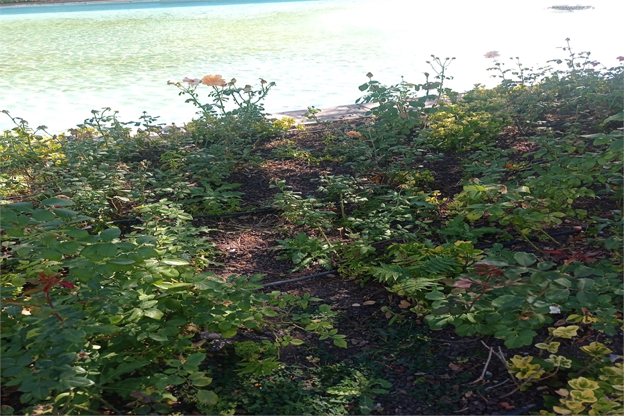 Hyundai Yedek Parça Kupa