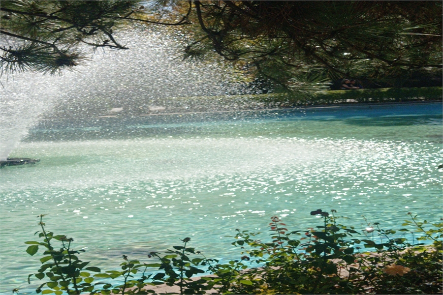 Mitsubishi Yedek Parça Güneşlik