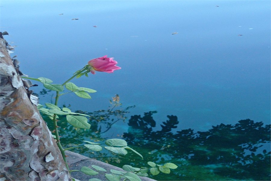 Nissan Yedek Parça Kapı Kolu