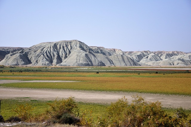 Ssangyong Yedek Parça Kapı Çıtası