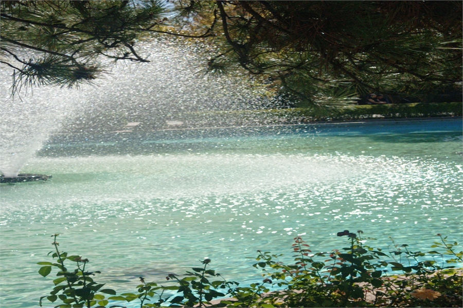 Toyota Yedek Parça İç Aynalar