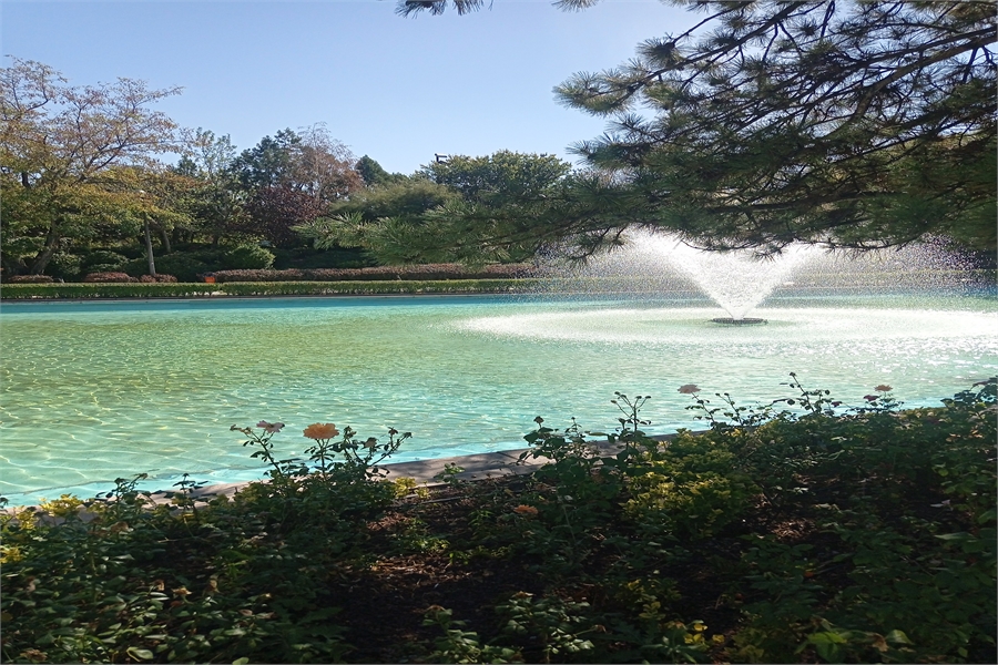 Toyota Yedek Parça Kapı