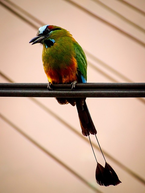 Atatürk Sanayi Hyundai Yedek Parça