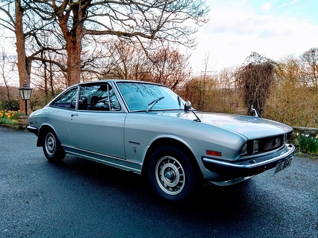 Bitlis İsuzu Yedek Parça