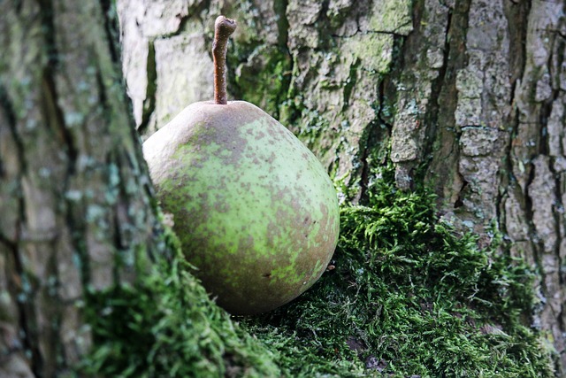 İstanbul Toyota Yedek Parça