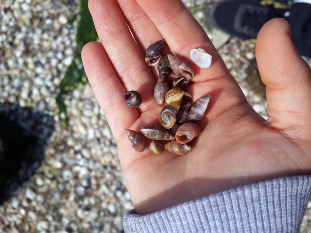 İzmir Buca Dfm Yedek Parça