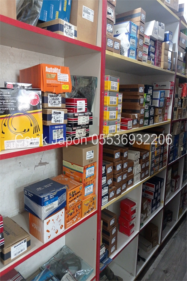 Tata Manza Yedek Parça Şaşmaz Ankara